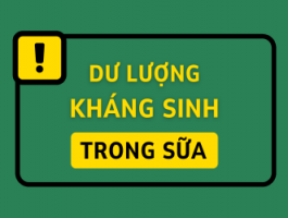 Kiểm tra dư lượng kháng sinh trong sữa – Bảo vệ sức khỏe người tiêu dùng