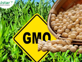  TEST NHANH GMO TRONG NGÔ, ĐẬU NÀNH – GIẢI PHÁP KIỂM SOÁT HIỆU QUẢ