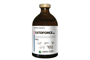 Thuốc bổ tăng cường chuyển hóa CATOFORCE Inj