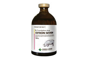 Kháng sinh phổ rộng CEFRON SEVEN