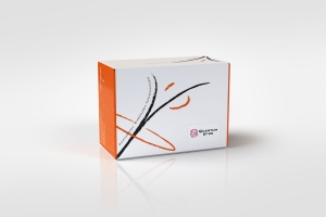 Kit Test nhanh Phát hiện đồng thời Kháng sinh β- lactams, tetracyclines và cefalexin 