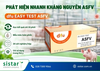 dfu EASY TEST ASFV – Phát hiện nhanh kháng nguyên dịch tả heo châu Phi