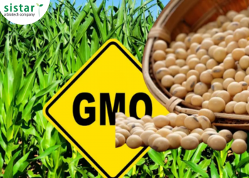  TEST NHANH GMO TRONG NGÔ, ĐẬU NÀNH – GIẢI PHÁP KIỂM SOÁT HIỆU QUẢ