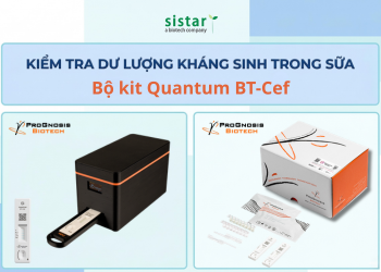Bộ kit Quantum BT Cef - Kiểm Tra Dư Lượng Kháng Sinh Trong Sữa, bảo Vệ Sức Khỏe Người Tiêu Dùng