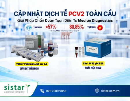 Cập nhật dịch tễ PCV2 toàn cầu và giải pháp chẩn đoán từ MEDIAN Diagnostics