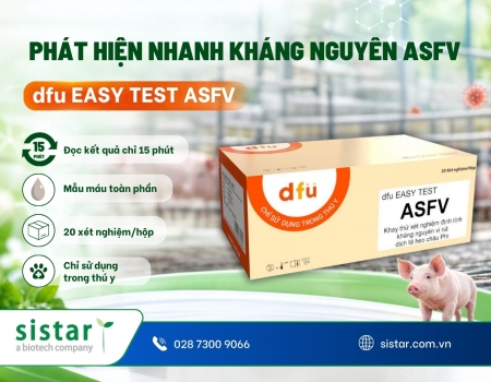 dfu EASY TEST ASFV – Phát hiện nhanh kháng nguyên dịch tả heo châu Phi