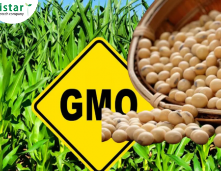  TEST NHANH GMO TRONG NGÔ, ĐẬU NÀNH – GIẢI PHÁP KIỂM SOÁT HIỆU QUẢ
