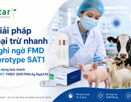 Giải pháp loại trừ nhanh nghi ngờ FMDV SAT1 bằng test nhanh VDRG® FMDV 3Diff/PAN Ag Rapid Kit